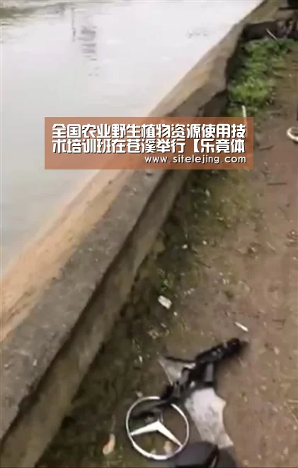 乐竟体育