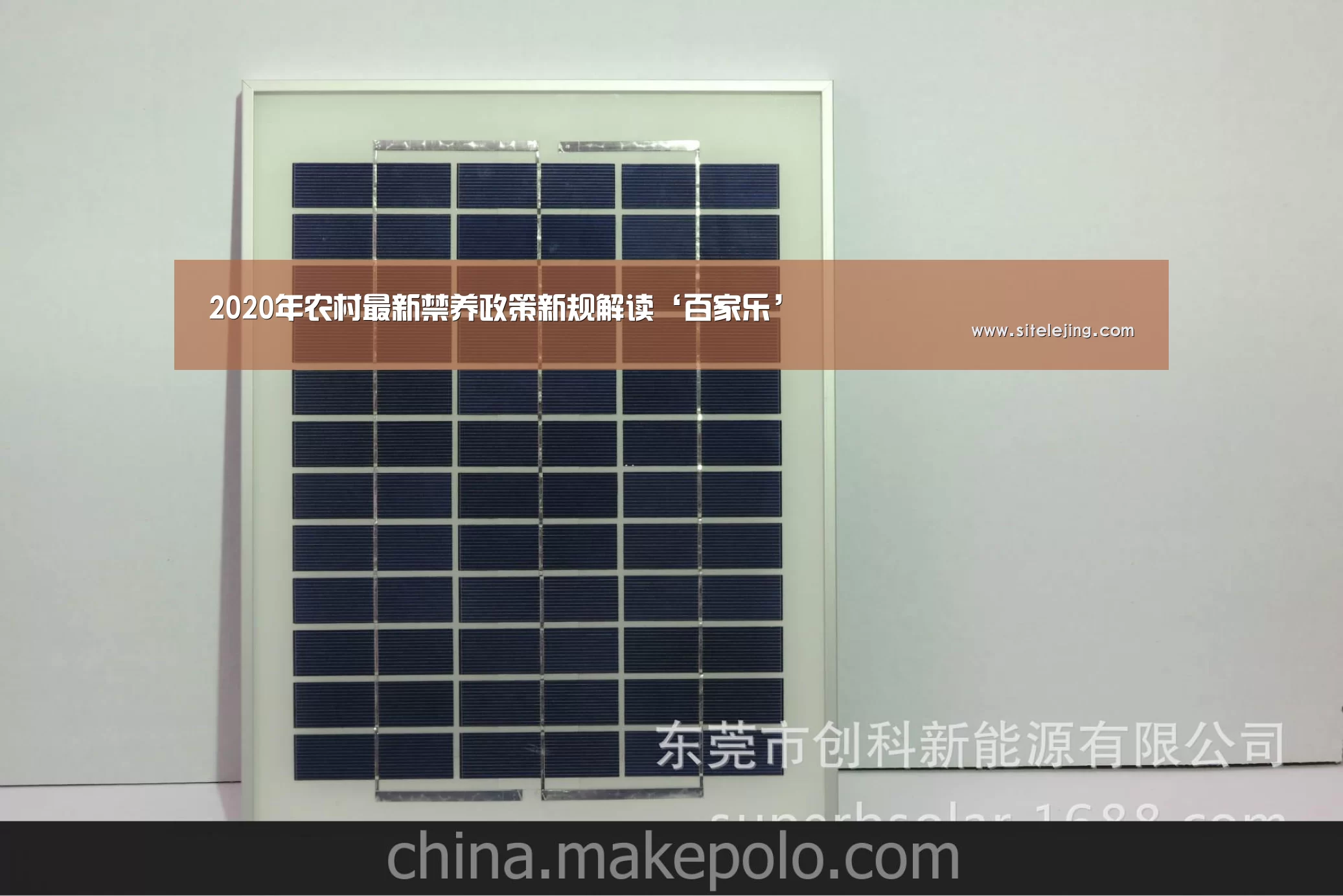 百家乐