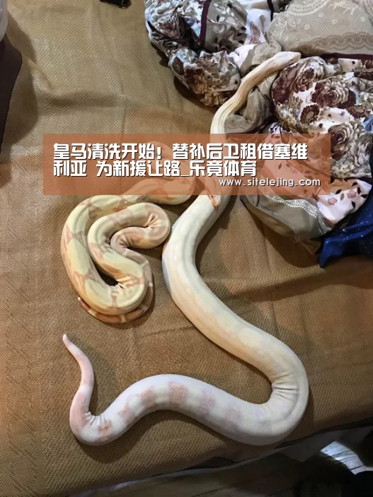 乐竟体育官网