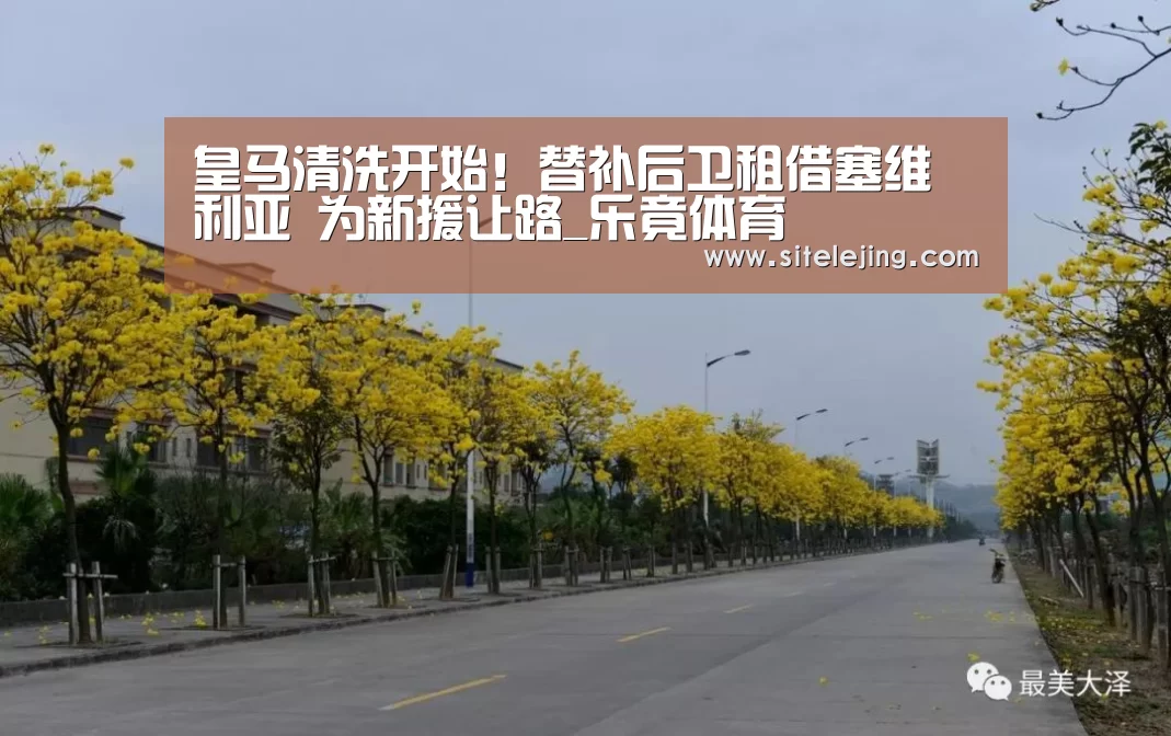 乐竟app