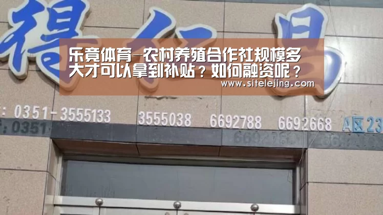 乐竟app