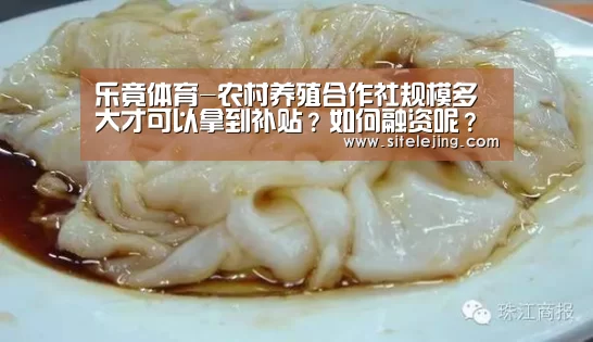 乐竟体育