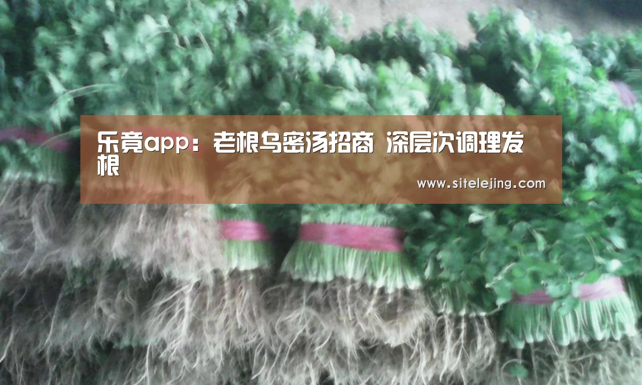 百家乐