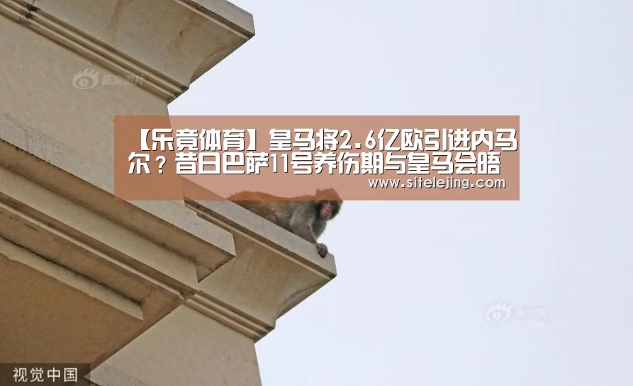 百家乐