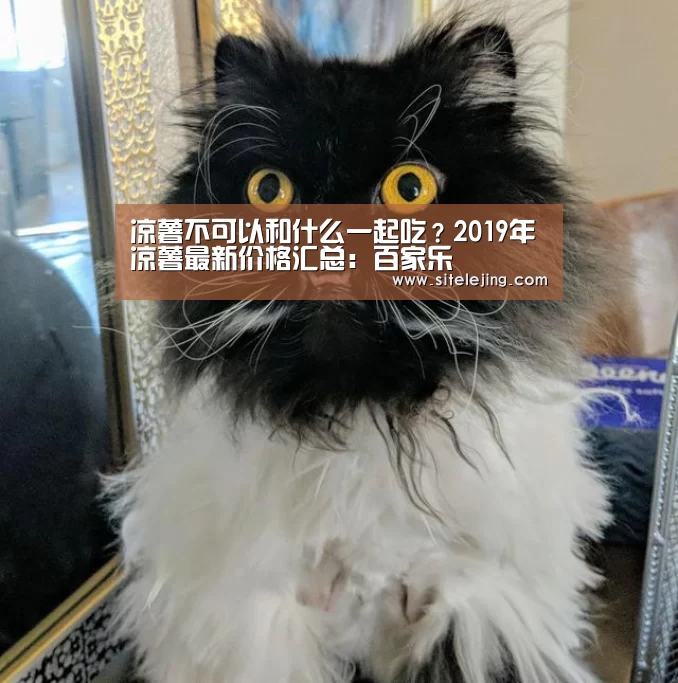 凉薯不可以和什么一起吃?2019年凉薯最新价格汇总:百家乐(图2) 乐竟app