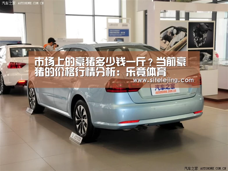 市场上的豪猪多少钱一斤?当前豪猪的价格行情分析:乐竟体育(图2) 乐竟app